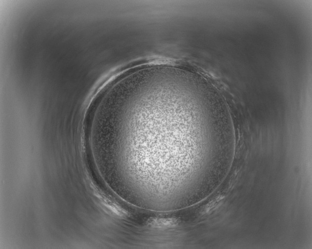 X0000061720247200512050914