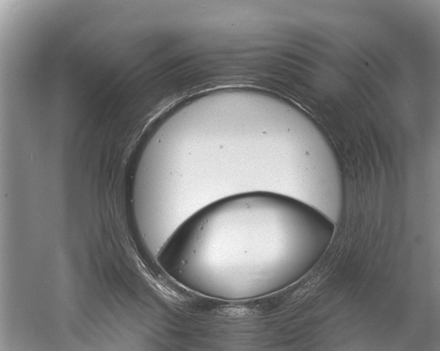 X0000061720253200512050914