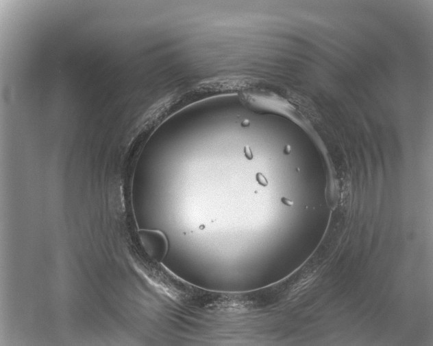 X0000061720254200512050914