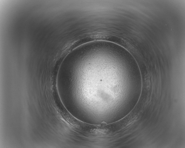 X0000061720255200512050914