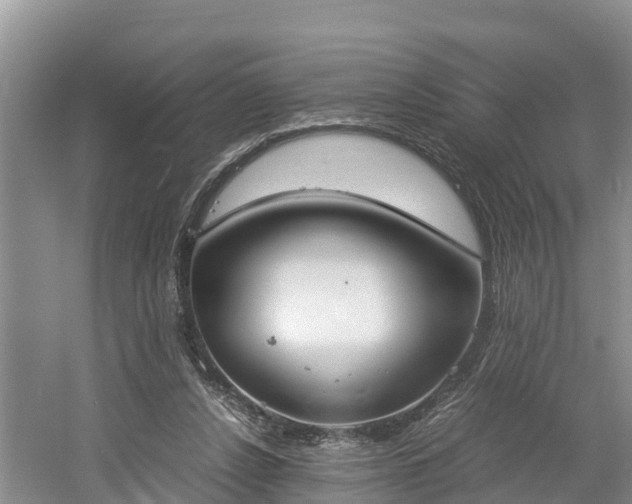 X0000061720256200512050914