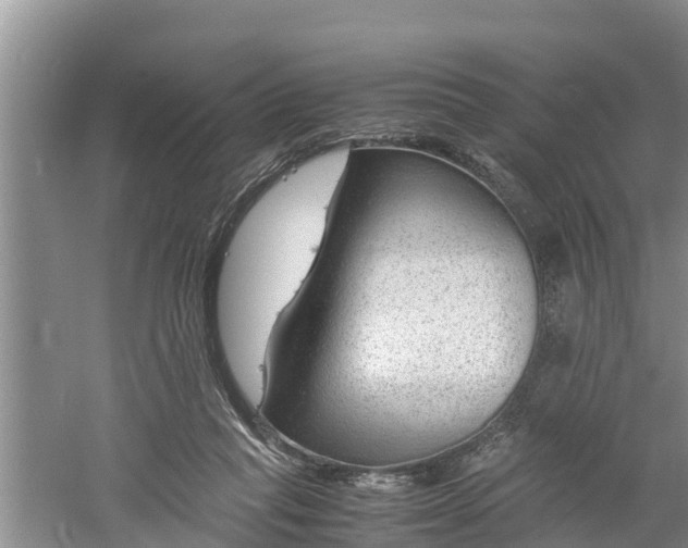 X0000061720261200512050914