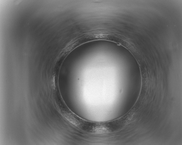 X0000061720262200512050914