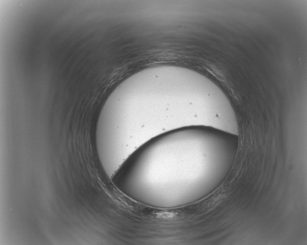 X0000061720265200512050914