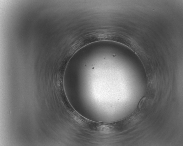 X0000061720277200512050915