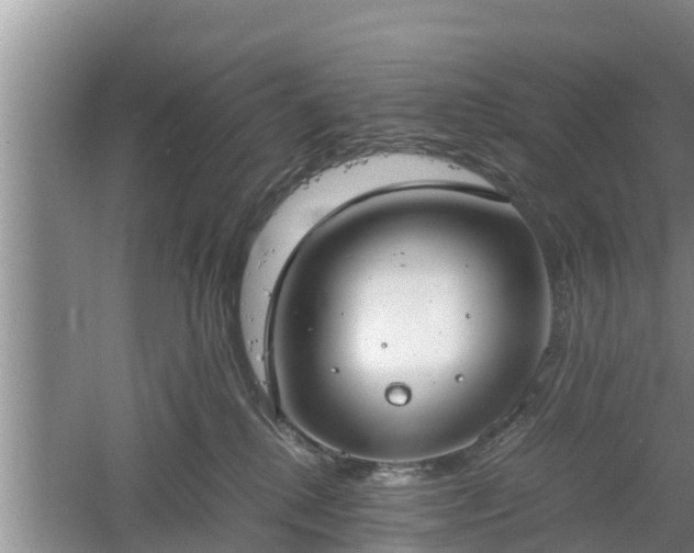 X0000061720280200512050915