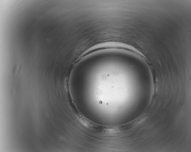 X0000061720286200512050915