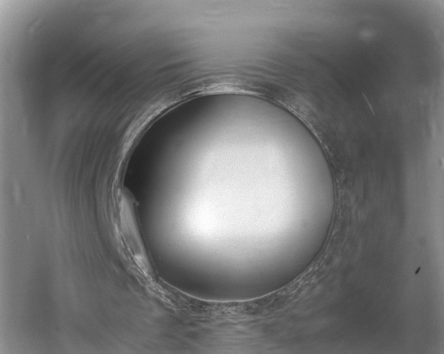 X0000061720289200512050914