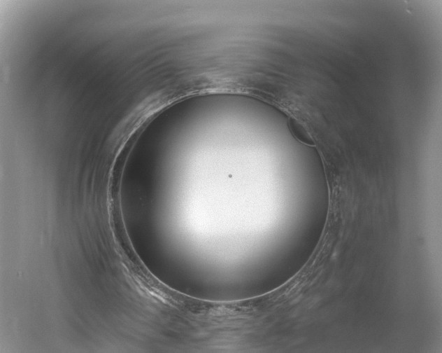 X0000061720290200512050914