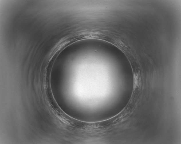 X0000061720291200512050914