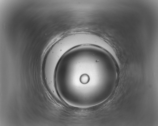 X0000061720293200512050914