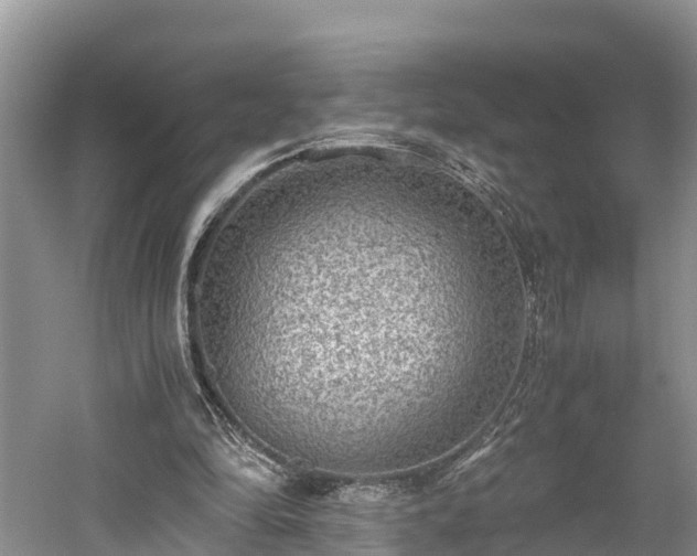 X0000061720294200512050914