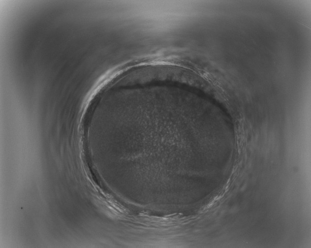 X0000061720295200512050914