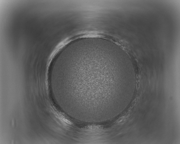 X0000061720296200512050914