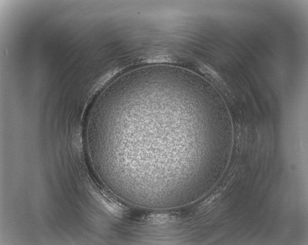 X0000061720298200512050914