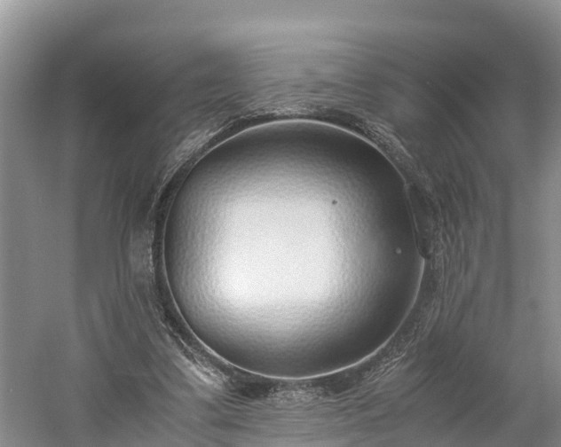 X0000061720299200512050914