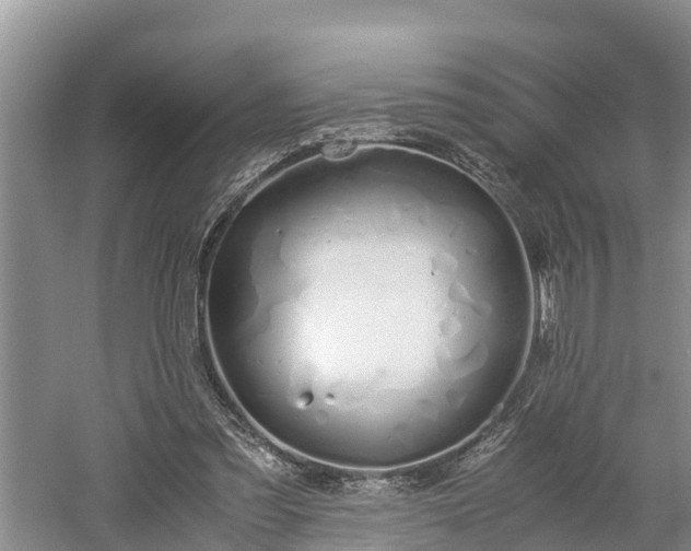 X0000061720301200512050914