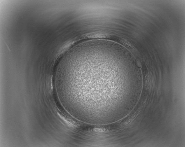 X0000061720302200512050914