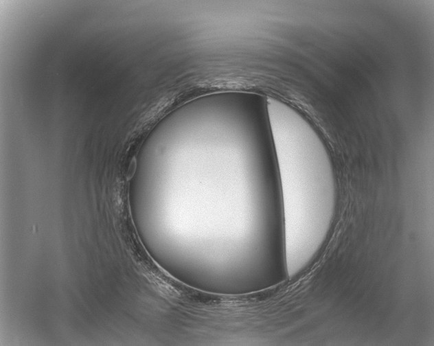 X0000061720305200512050914