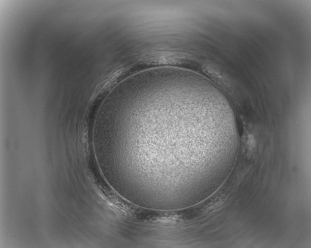 X0000061720306200512050914