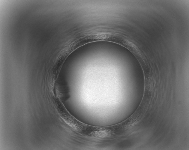 X0000061720307200512050914