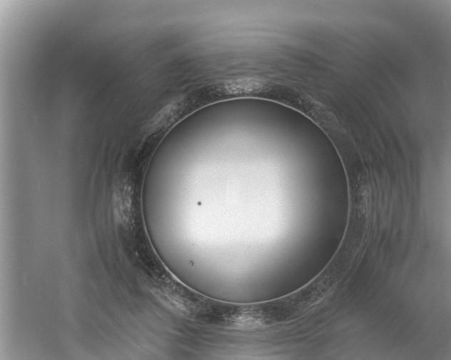 X0000061720308200512050914