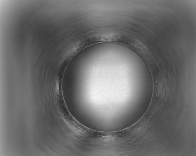 X0000061720310200512050914