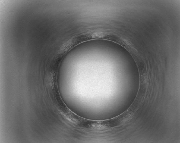 X0000061720311200512050914