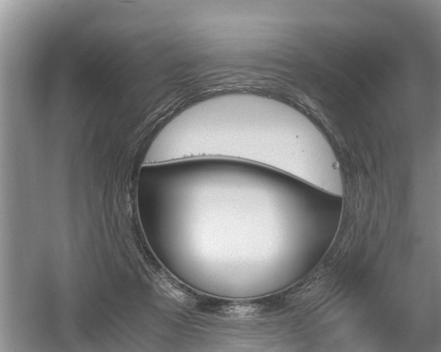 X0000061720313200512050914