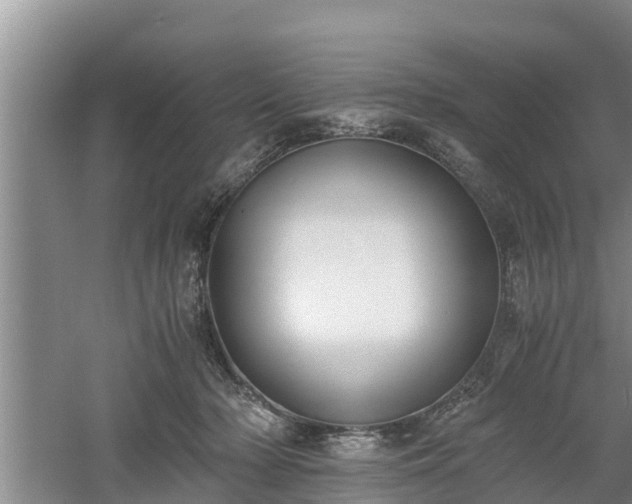 X0000061720318200512050913