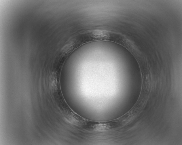 X0000061720320200512050913