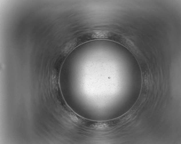 X0000061720322200512050913