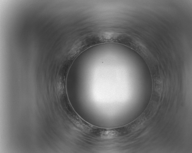 X0000061720324200512050913