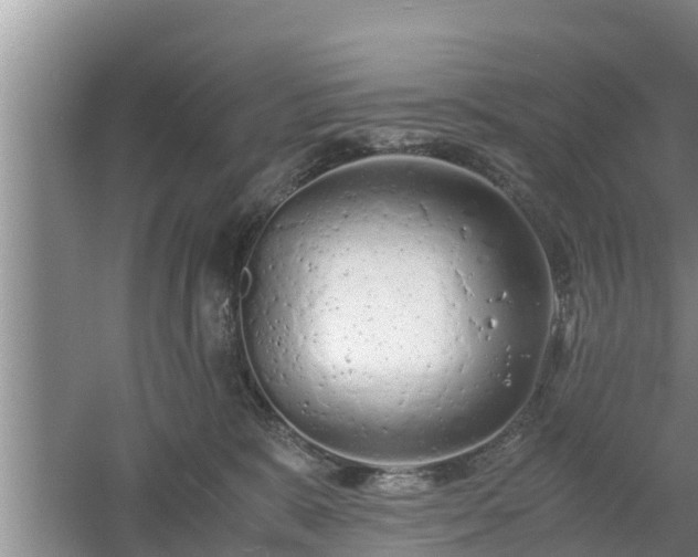 X0000061720327200512050913