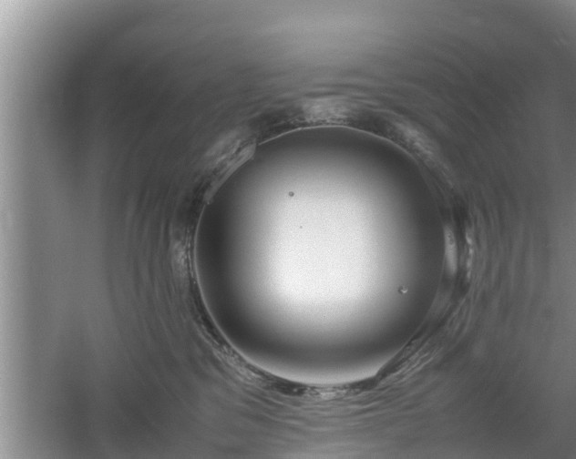 X0000061720329200512050913