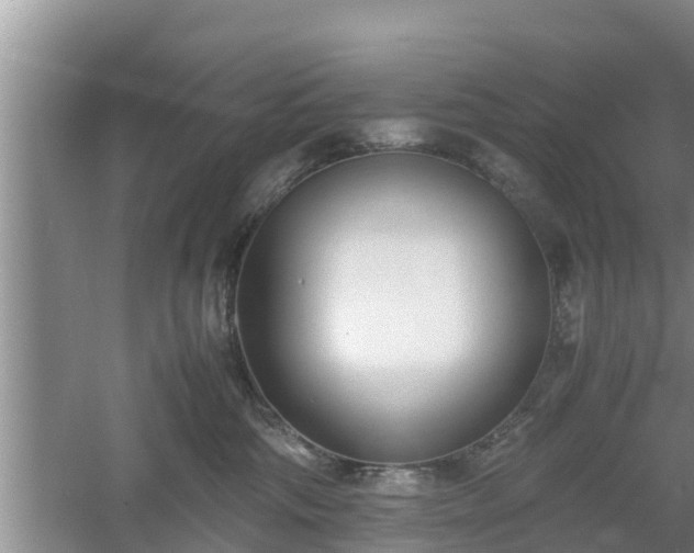 X0000061720330200512050913