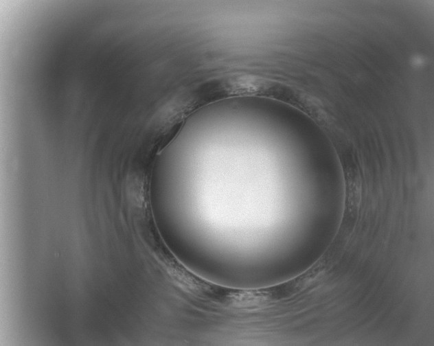 X0000061720331200512050913