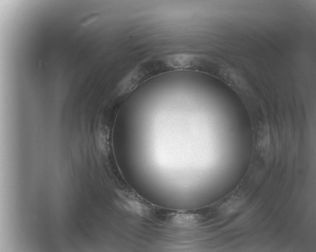 X0000061720332200512050913