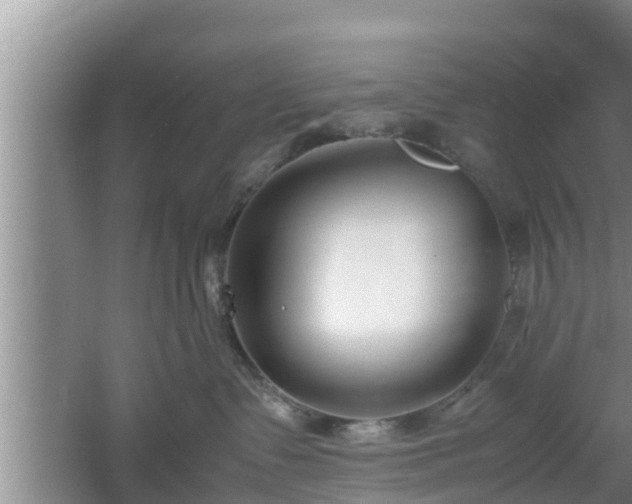 X0000061720335200512050913