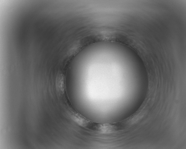 X0000061720336200512050913