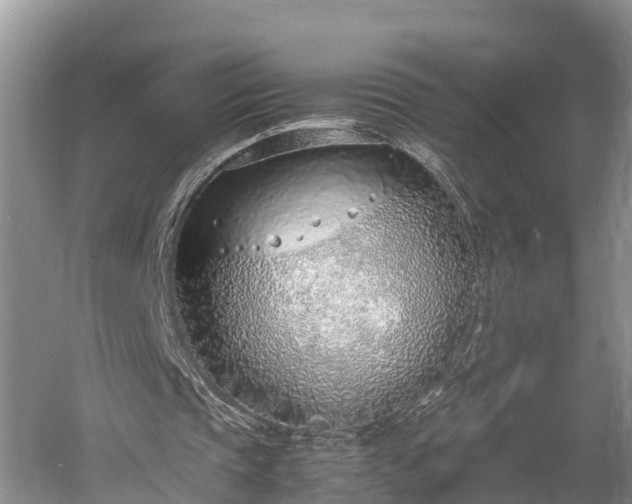 X0000061720337200512050912