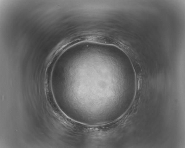 X0000061720339200512050912