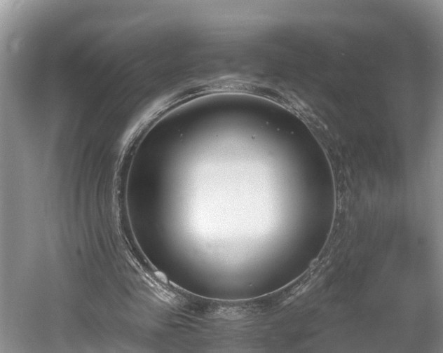 X0000061720341200512050912