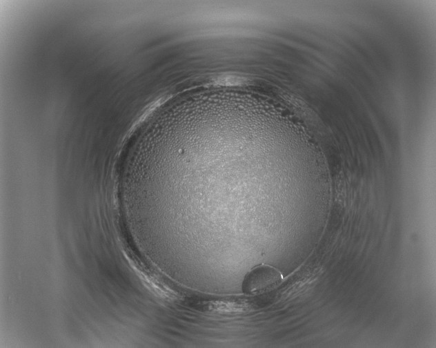 X0000061720347200512050913