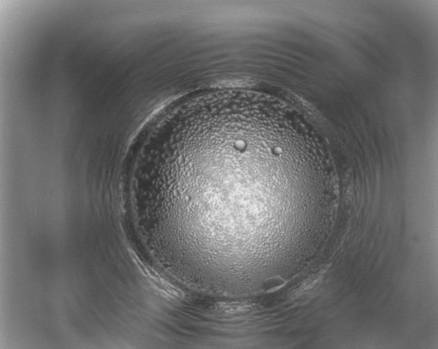 X0000061720351200512050913