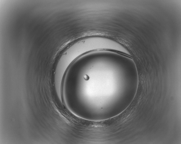 X0000061720352200512050913