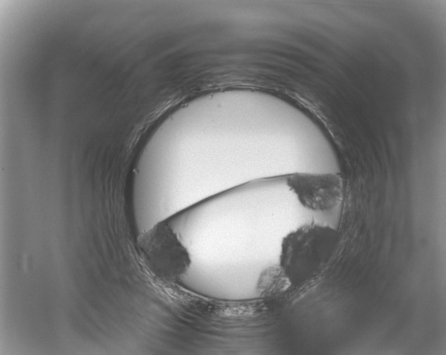 X0000061720353200512050913