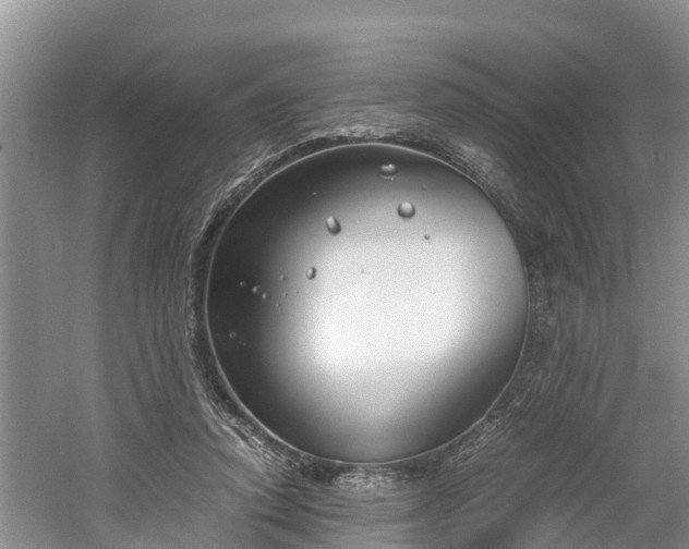 X0000061720354200512050913