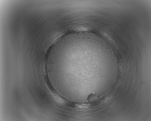 X0000061720359200512050913