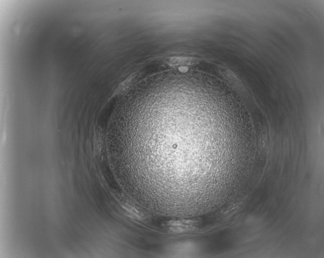 X0000061720367200512050913